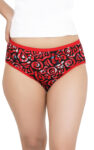 ANAND-Paras-Printed-Multicolors-Printed-Panties-4.jpg