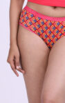 ANAND-Paras-Printed-Multicolors-Printed-Panties-4.jpg