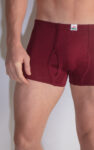 ANAND-Sanga-Multi-Colour-Trunks-3.jpg