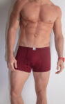 ANAND-Sanga-Multi-Colour-Trunks-3.jpg