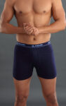 ANAND-Super-Multi-Colour-Pocket-Trunks-5.jpg